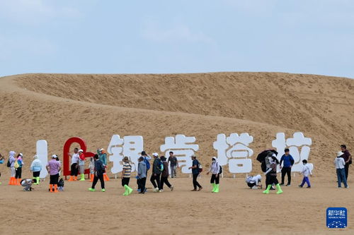 四季中国 沙漠增绿又生金 一名返乡大学生的 库布其情缘